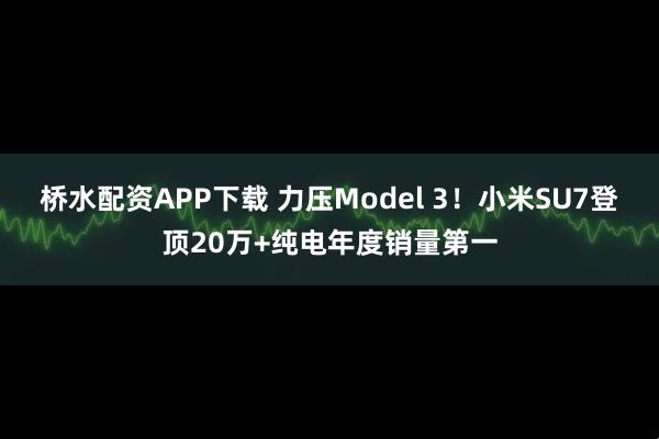 桥水配资APP下载 力压Model 3！小米SU7登顶20万+纯电年度销量第一