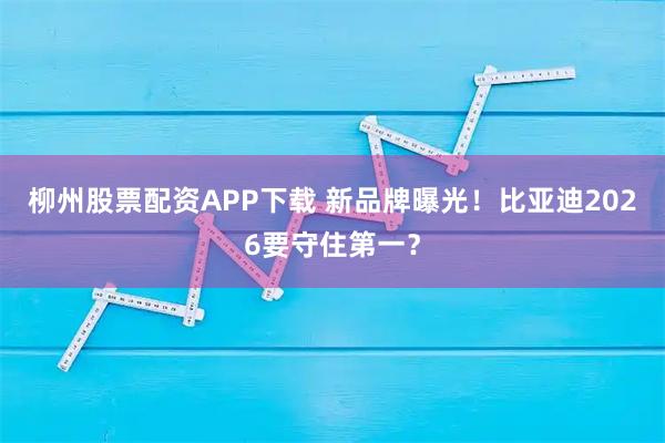 柳州股票配资APP下载 新品牌曝光！比亚迪2026要守住第一？