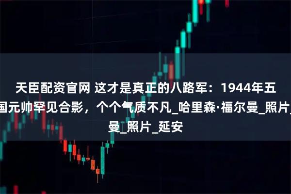 天臣配资官网 这才是真正的八路军：1944年五位开国元帅罕见合影，个个气质不凡_哈里森·福尔曼_照片_延安