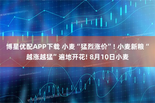 博星优配APP下载 小麦“猛烈涨价”! 小麦新粮“越涨越猛”遍地开花! 8月10日小麦